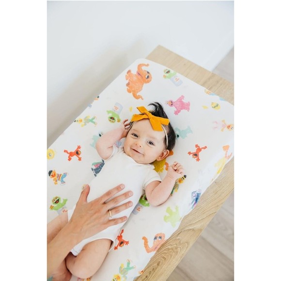 Copper Pearl Sesame Street Premium Knit Diaper Changing Pad Cover Standard Size - Picture 2 of 5